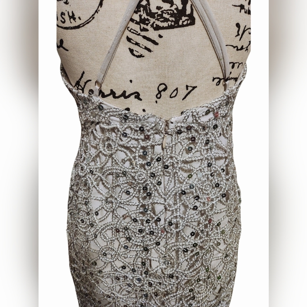Forever 21 Plunging Silver Seguin Maxi Dress - Picture 9 of 12